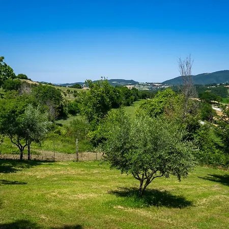 Rustica Le Piagge * Sassoferrato